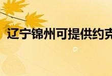辽宁锦州可提供约克空调维修服务地址在哪