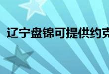 辽宁盘锦可提供约克空调维修服务地址在哪