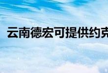 云南德宏可提供约克空调维修服务地址在哪