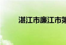 湛江市廉江市第三中学的地址在哪