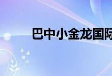 巴中小金龙国际幼稚园的地址在哪