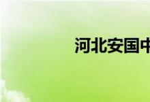 河北安国中学的地址在哪