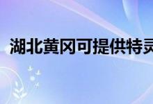 湖北黄冈可提供特灵空调维修服务地址在哪
