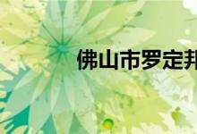 佛山市罗定邦中学的地址在哪