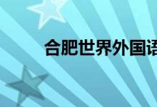 合肥世界外国语幼儿园的地址在哪