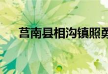 莒南县相沟镇照勇希望小学的地址在哪