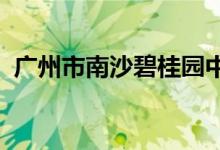 广州市南沙碧桂园中英文幼儿园的地址在哪