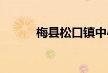 梅县松口镇中心小学的地址在哪