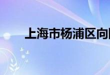 上海市杨浦区向阳幼儿园的地址在哪