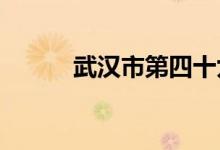 武汉市第四十九中学的地址在哪
