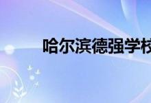 哈尔滨德强学校高中部的地址在哪