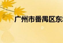广州市番禺区东城幼儿园的地址在哪