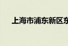 上海市浦东新区东方幼儿园的地址在哪