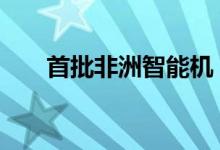 首批非洲智能机 竟是首批具体怎么样