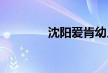 沈阳爱肯幼儿园的地址在哪
