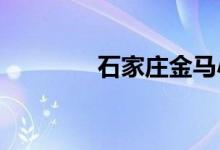 石家庄金马小学的地址在哪