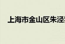 上海市金山区朱泾罗星幼儿园的地址在哪
