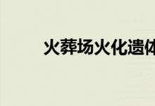 火葬场火化遗体真实过程令人痛心