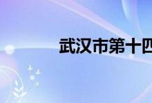 武汉市第十四中学的地址在哪