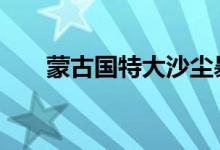 蒙古国特大沙尘暴 当地目前什么情况