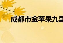 成都市金苹果九里西幼儿园的地址在哪