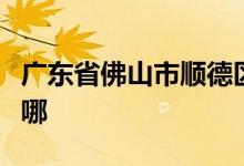 广东省佛山市顺德区容桂振华幼儿园的地址在哪