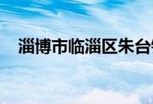 淄博市临淄区朱台镇高阳中学的地址在哪