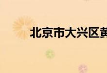 北京市大兴区黄村三幼的地址在哪