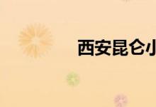 西安昆仑小学的地址在哪