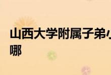 山西大学附属子弟小学（山大附小）的地址在哪