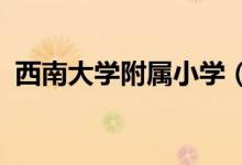 西南大学附属小学（西师附小）的地址在哪
