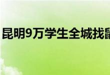 昆明9万学生全城找鼠妇做实验 到底什么情况