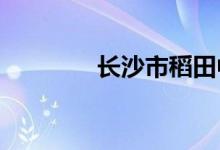 长沙市稻田中学的地址在哪