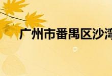 广州市番禺区沙湾中心小学的地址在哪