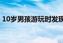 10岁男孩游玩时发现古生物化石 具体怎么样