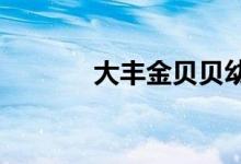 大丰金贝贝幼儿园的地址在哪