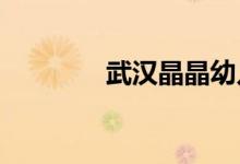 武汉晶晶幼儿园的地址在哪