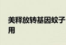 美释放转基因蚊子 在哪释放转基因蚊子有啥用