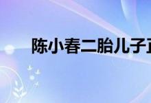 陈小春二胎儿子正面照 具体长什么样