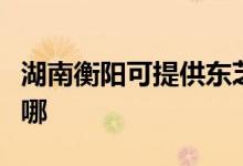 湖南衡阳可提供东芝中央空调维修服务地址在哪