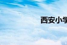 西安小学的地址在哪