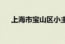 上海市宝山区小主人幼儿园的地址在哪