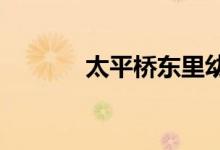 太平桥东里幼儿园的地址在哪