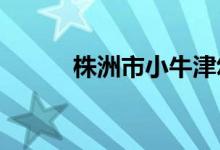 株洲市小牛津幼儿园的地址在哪