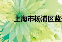 上海市杨浦区蓝天幼儿园的地址在哪