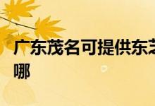 广东茂名可提供东芝中央空调维修服务地址在哪