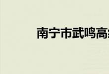 南宁市武鸣高级中学的地址在哪