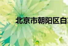 北京市朝阳区白家庄小学的地址在哪
