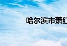哈尔滨市萧红中学的地址在哪