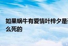 如果蜗牛有爱情叶梓夕是谁杀害叶梓夕的凶手是谁叶梓夕怎么死的
